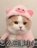 933彩票下载官网 ところが、シートを張ると、もし5時に雨が上がったとしたら、わずかに試合開始時刻を遅らせれば、できるかもしれないのだ