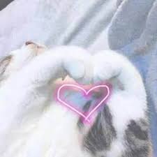 bg视讯手机版 「前金でお願いします」...料金は15分1万円飛田新地を何度もまわり、ある程度土地勘がつかめたので、店に入ってみることにした