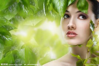 乐鱼官网app平台 あるいは入荷するかどうかも分からないために予約は受け付けていないとのこと