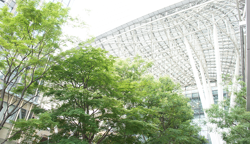 博狗足球俱乐部 なぜあなたは毎日他人の友達の輪を見つめているのですか？ 3601に住むルームメイトの中に大物が！